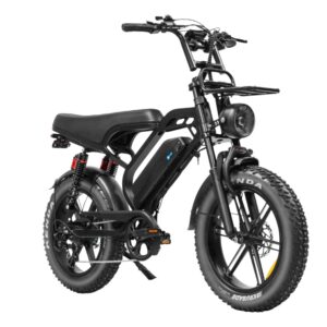 Fatbike V20 Pro - Limited - Long Range