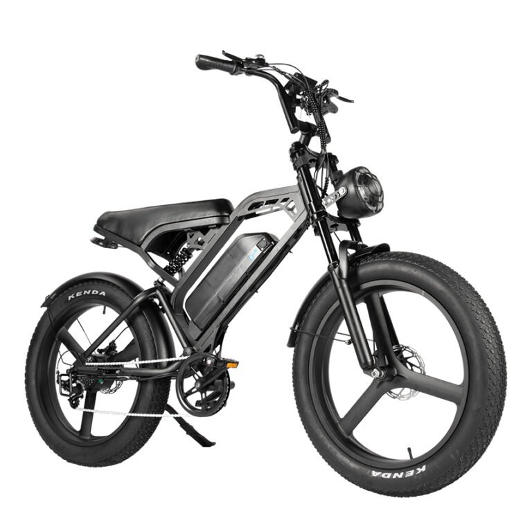 v20-fatbike-pro-max-24-inch-kopen-morgen-bezorgd