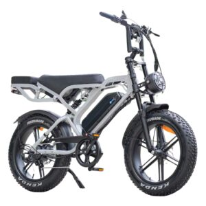 V20 Pro - Nardo Grey