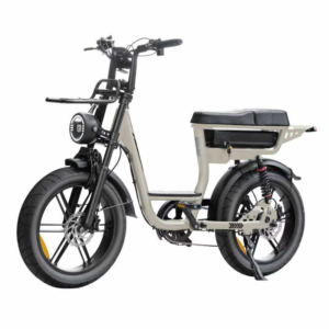 Fatbike V20 Pro - Comfort - Lage instap - Grey