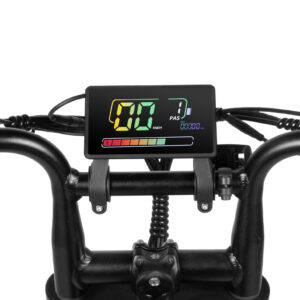 Fatbike V20 Pro - D50 editie - Lage instap - Zwart