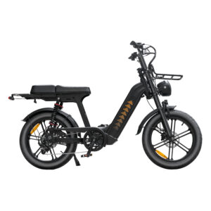 Fatbike V20 Pro - D50 editie - Lage instap - Zwart